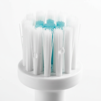 Adult Electric Toothbrush – Soft DuPont Bristles, IPX6 and Portable Battery